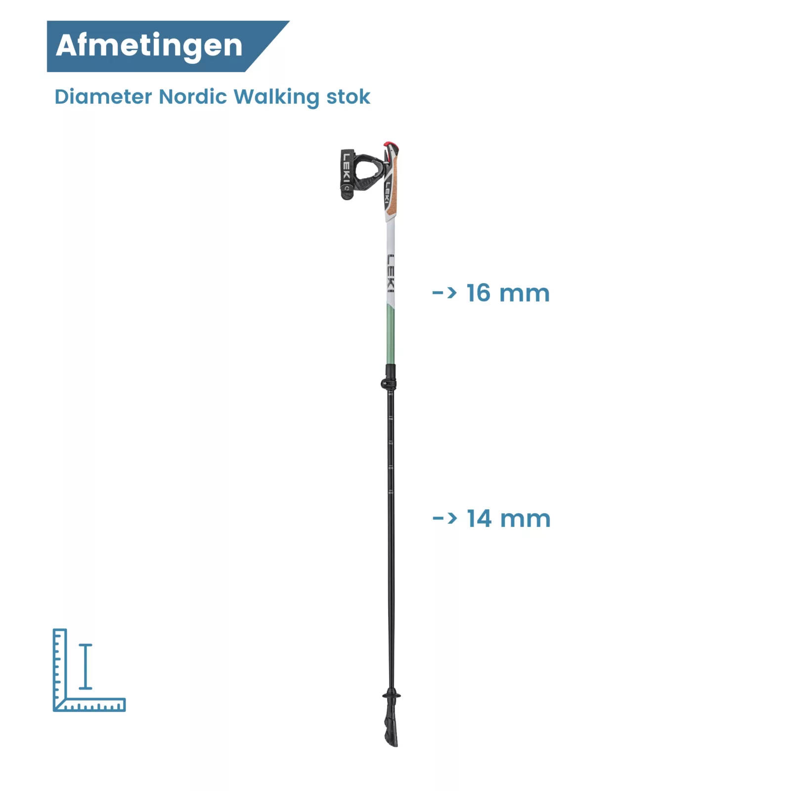 dimensioni