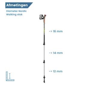 dimensioni