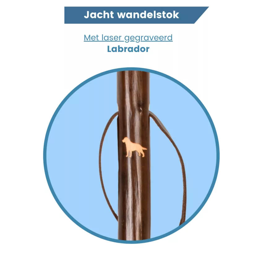 gastrock Bastone da caccia labrador retriever legno di castagno logo