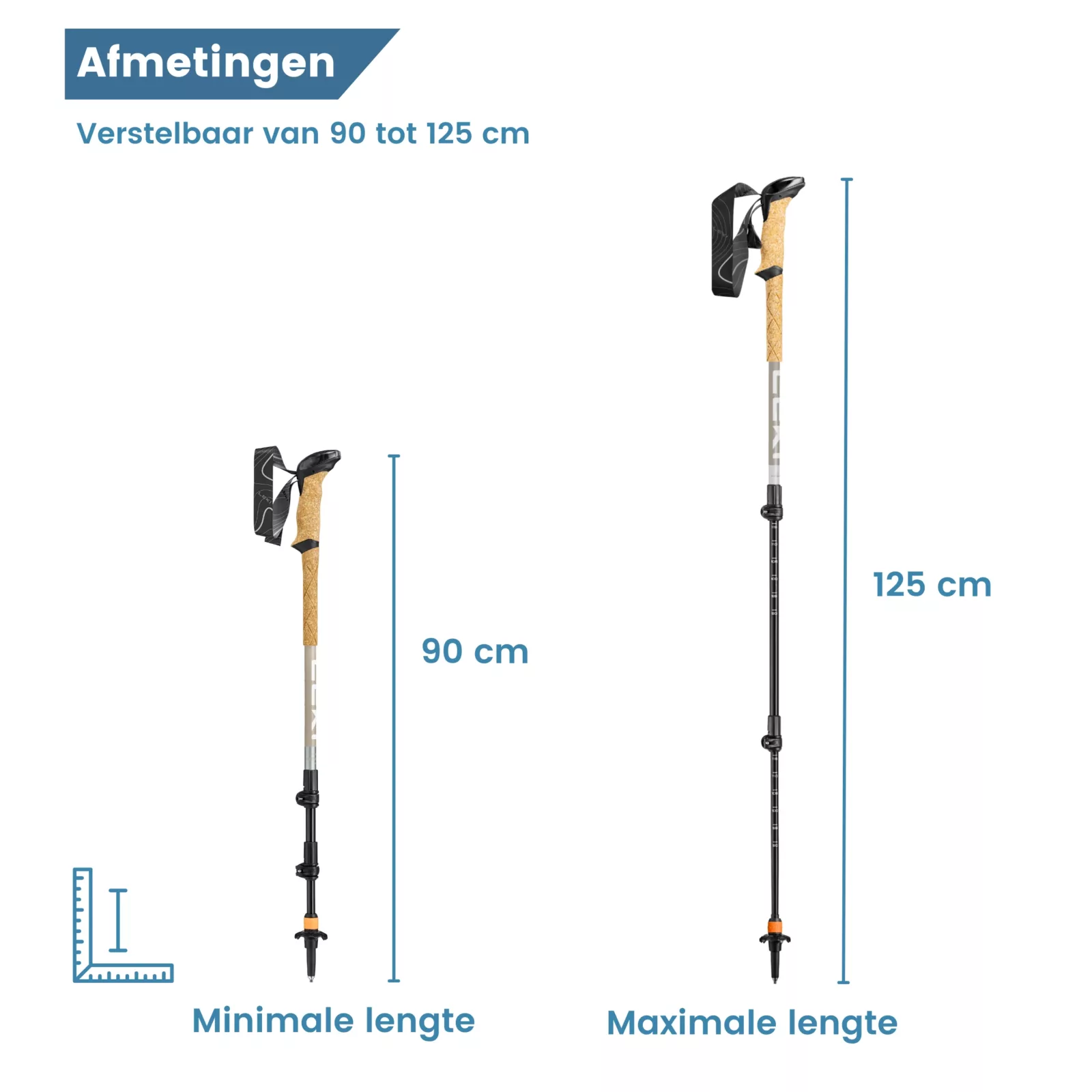dimensioni