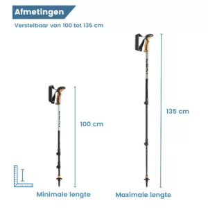 dimensioni