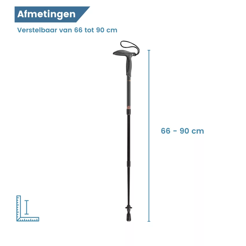 Dimensioni del bastone da passeggio