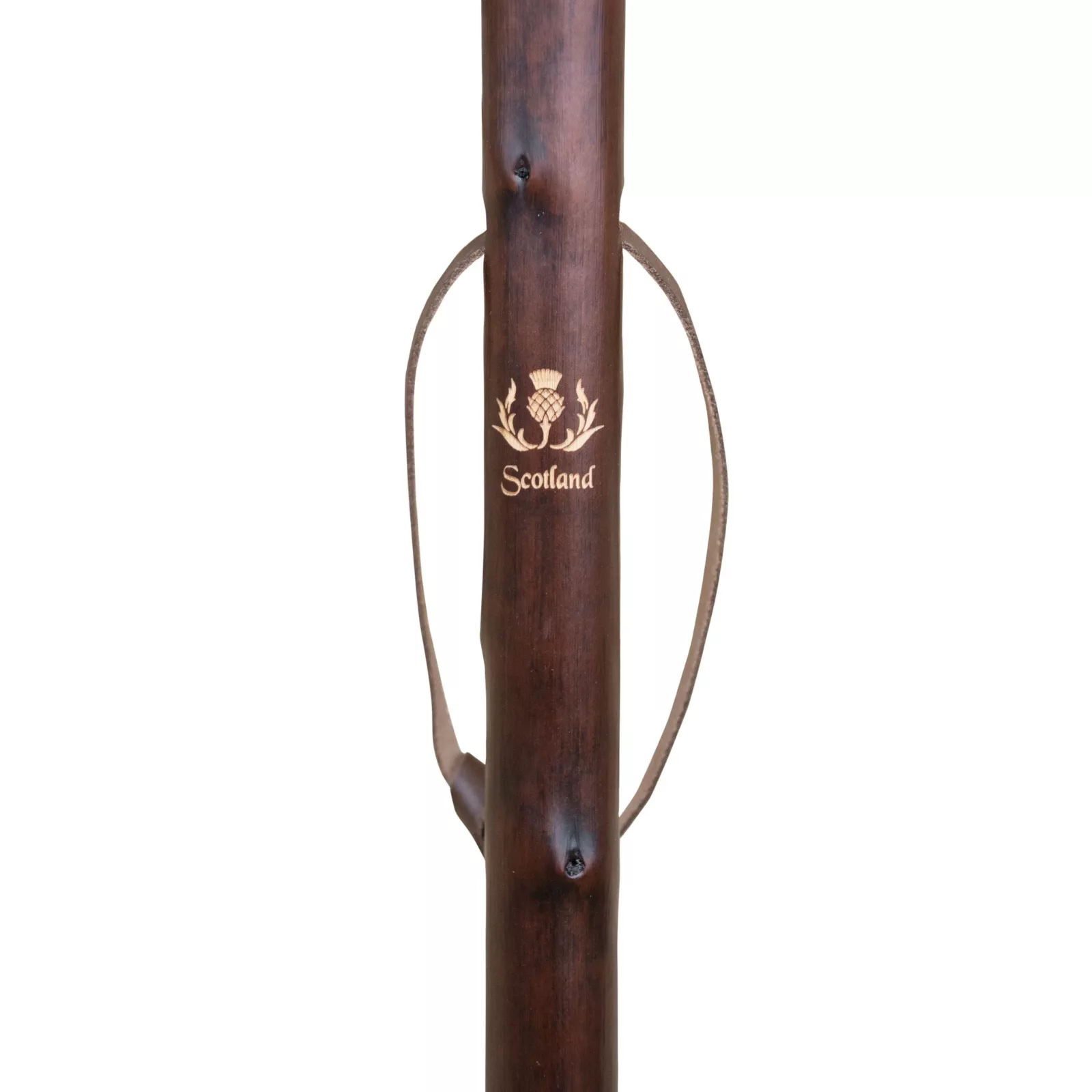 Bastone da caccia in legno di castagno con cardo scozzese