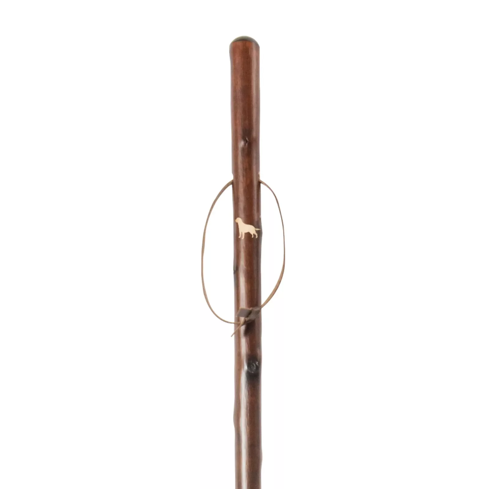 Bastone da caccia in legno di castagno con labrador retriever