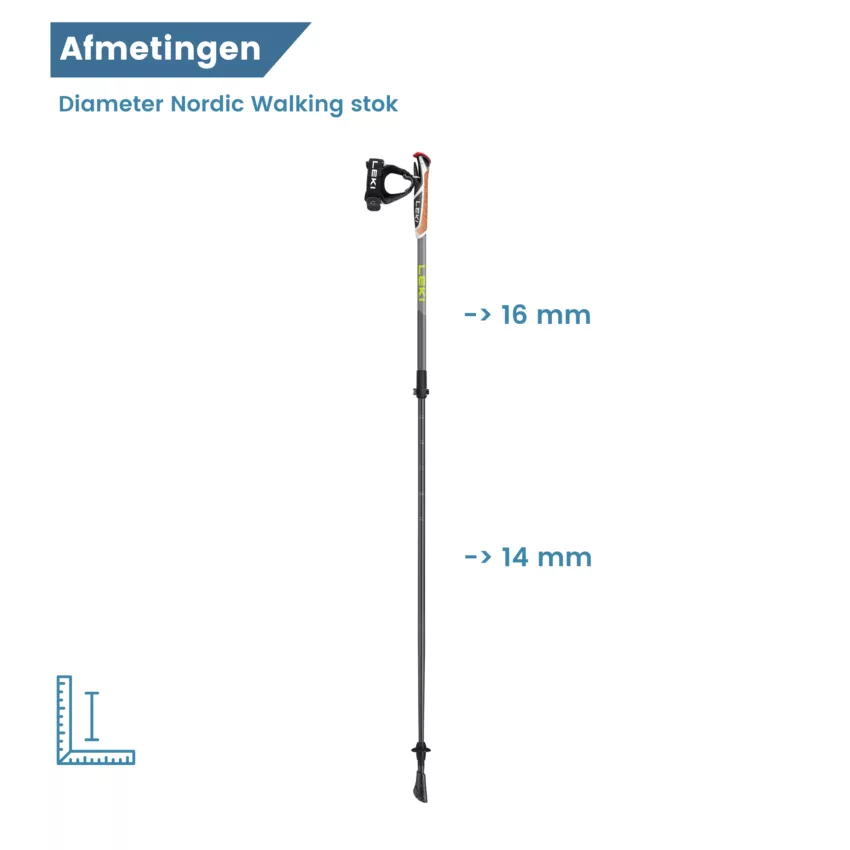 dimensioni