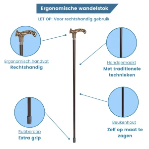 Bastone da passeggio ergonomico laminato usp