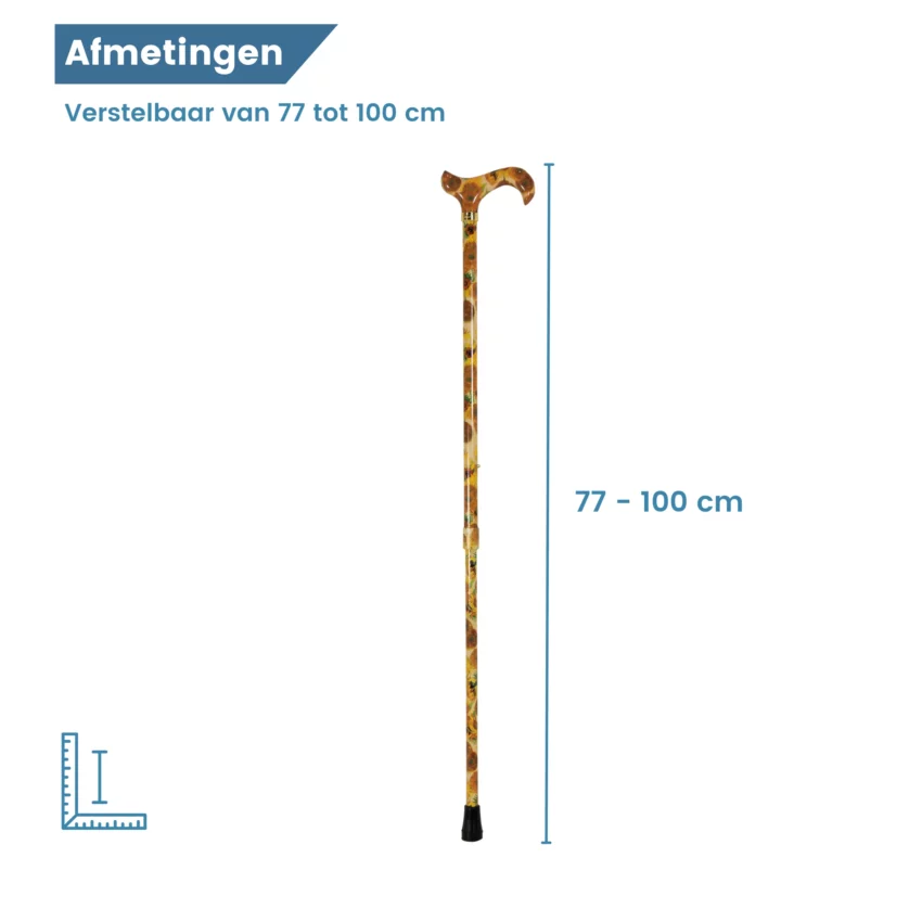Dimensioni del bastone da passeggio